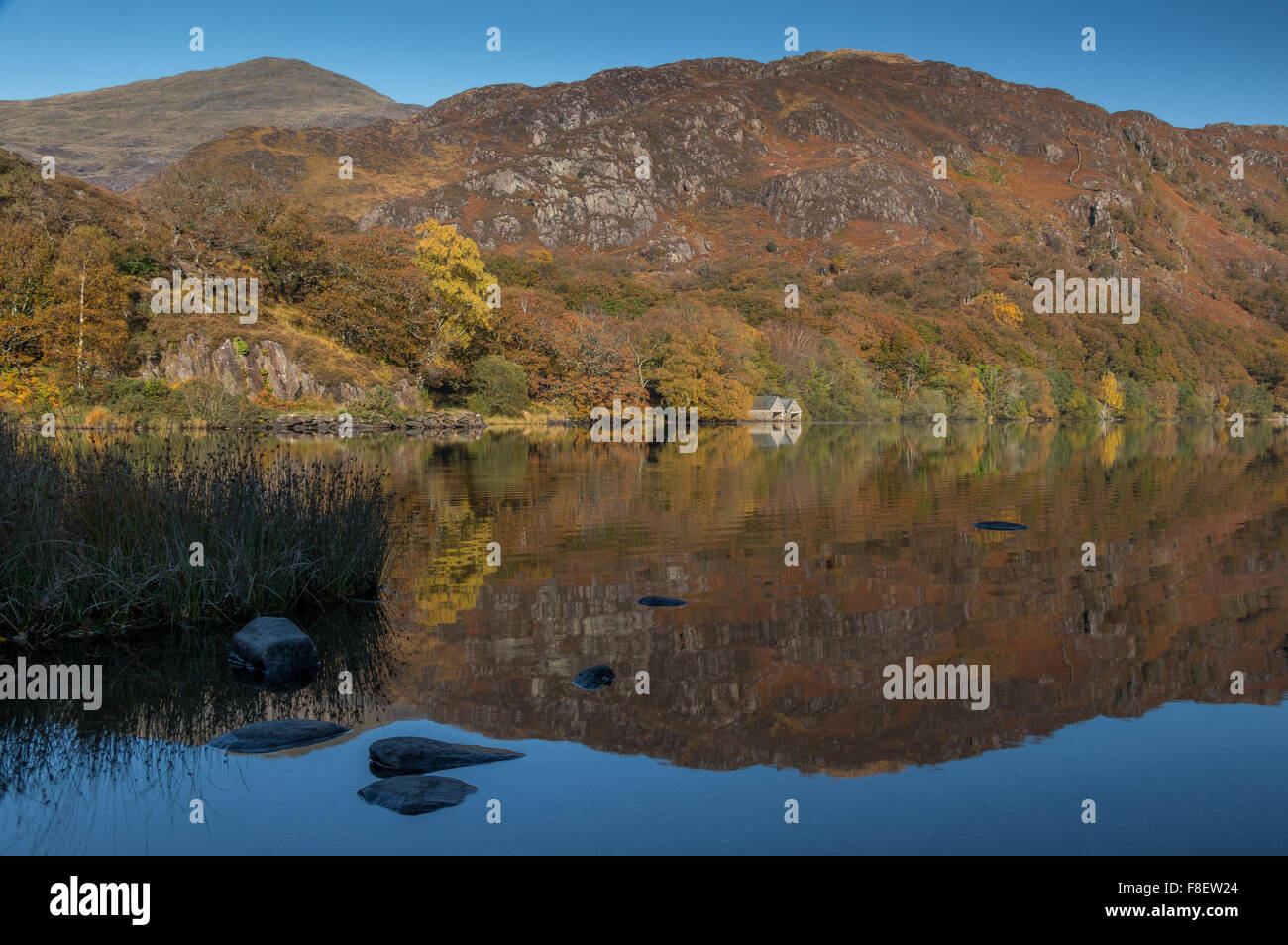 Llyn dinas riflessione, Snowdonia, Galles Foto Stock