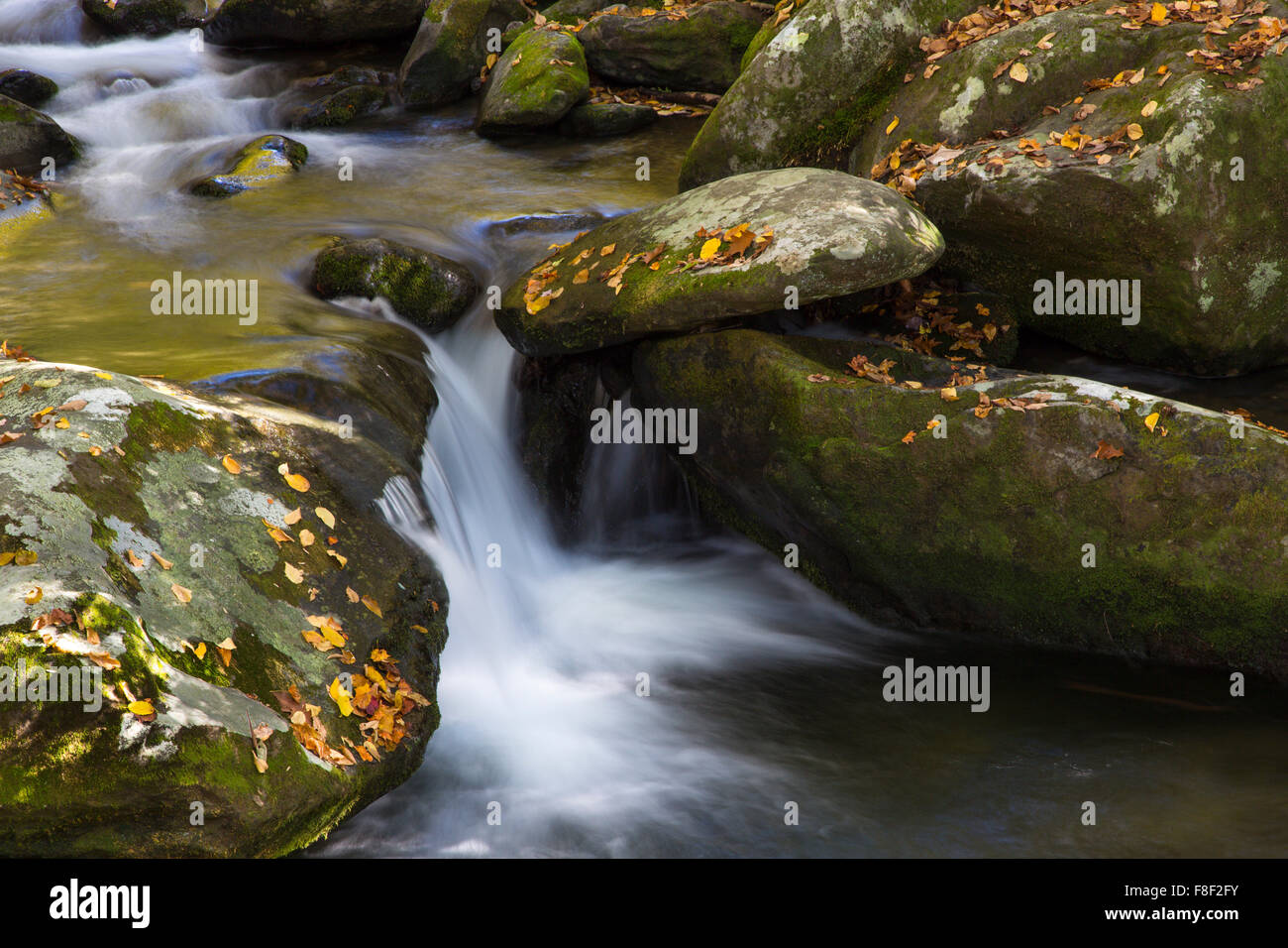 Una piccola cascata sulla forcella ruggente torrente di montagna sulla Roaring Fork Motor Sentiero Natura nel Parco Nazionale di Great Smoky Mountains TN Foto Stock