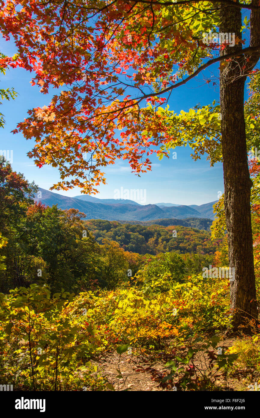 Autunno a colori sul Roaring Fork Motor Sentiero Natura nel Parco Nazionale di Great Smoky Mountains in Tennessee Foto Stock