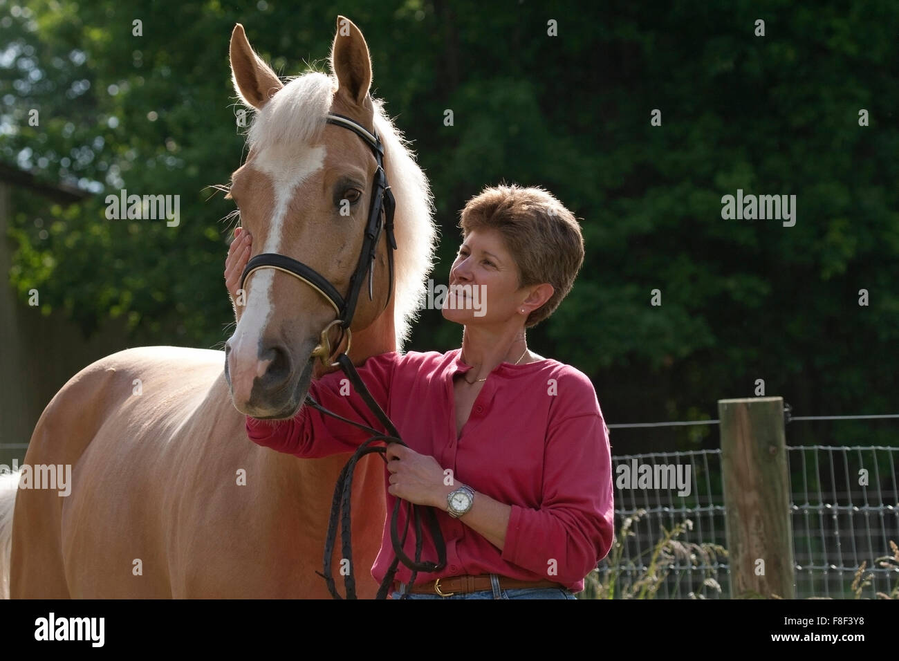 Donna comfort il suo cavallo Palomino Foto Stock