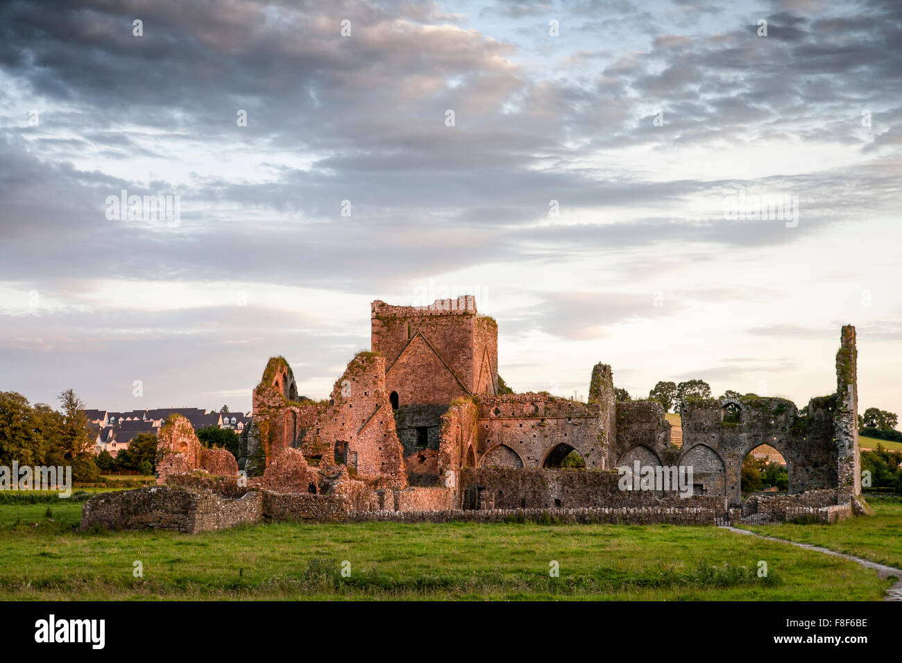 Hore Abbey una rovina monastero cistercense nei pressi della Rocca di Cashel, nella contea di Tipperary, Irlanda Foto Stock