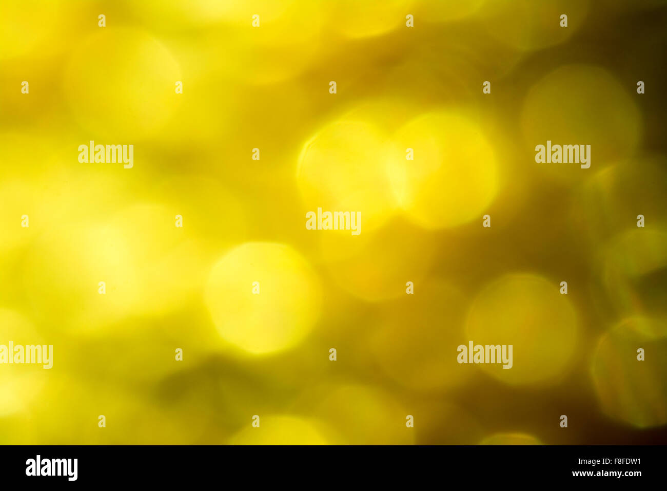Grande la sfocatura dello sfondo bokeh di fondo. Foto Stock