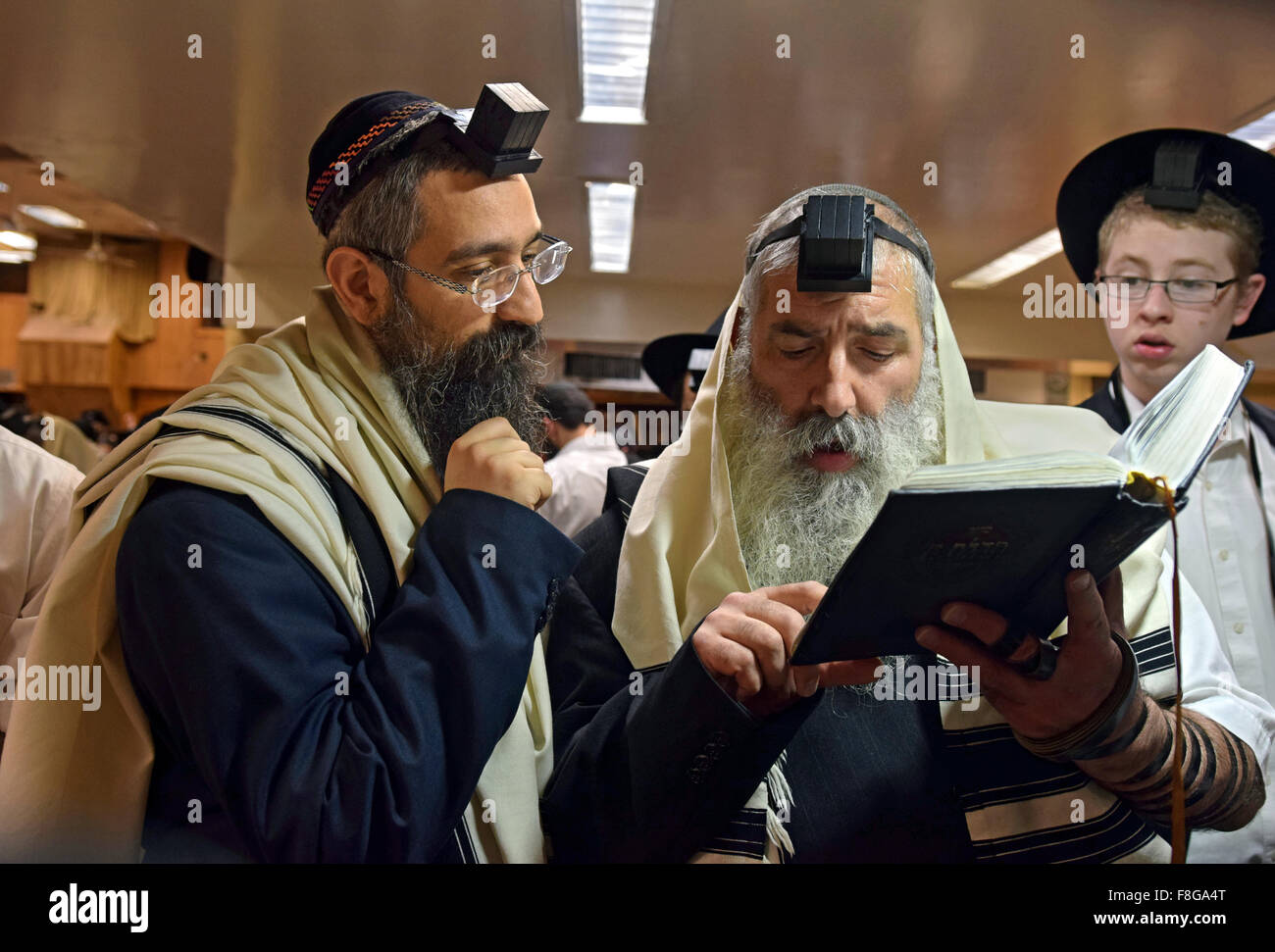 2 religiosi, ebraica gli uomini a discutere di un passaggio in un libro di preghiera al mattino servizi in una sinagoga di Brooklyn, New York Foto Stock