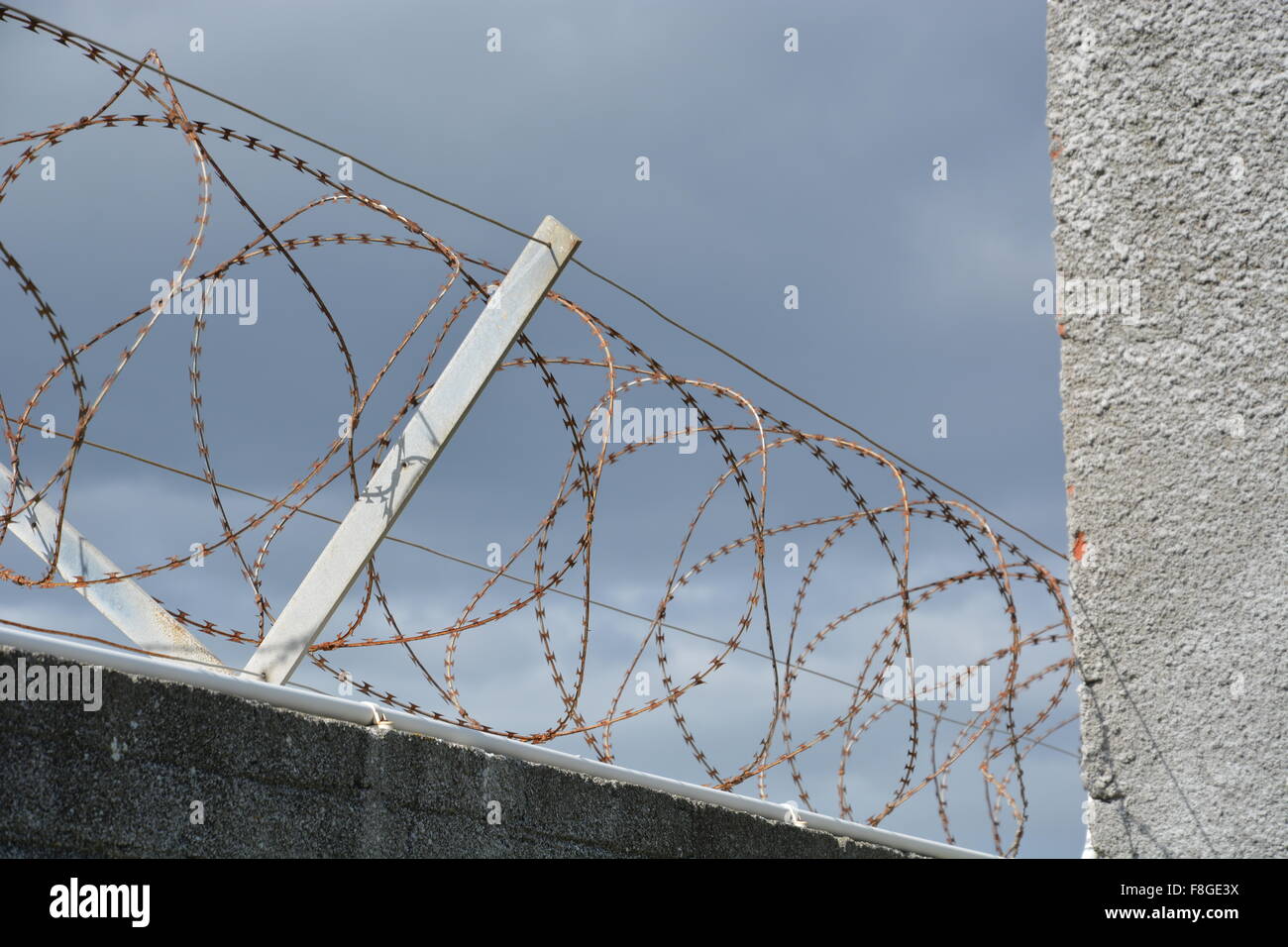 Arrugginito filo di rasoio sommità una parete di Robben Island prigione al di fuori della Città del Capo Sud Africa Foto Stock