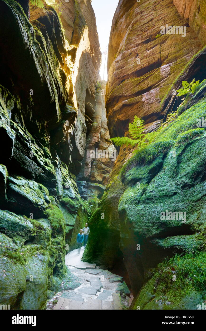 Sentiero escursionistico, Adrspach città di roccia, Teplicke rocce, Repubblica Ceca Foto Stock
