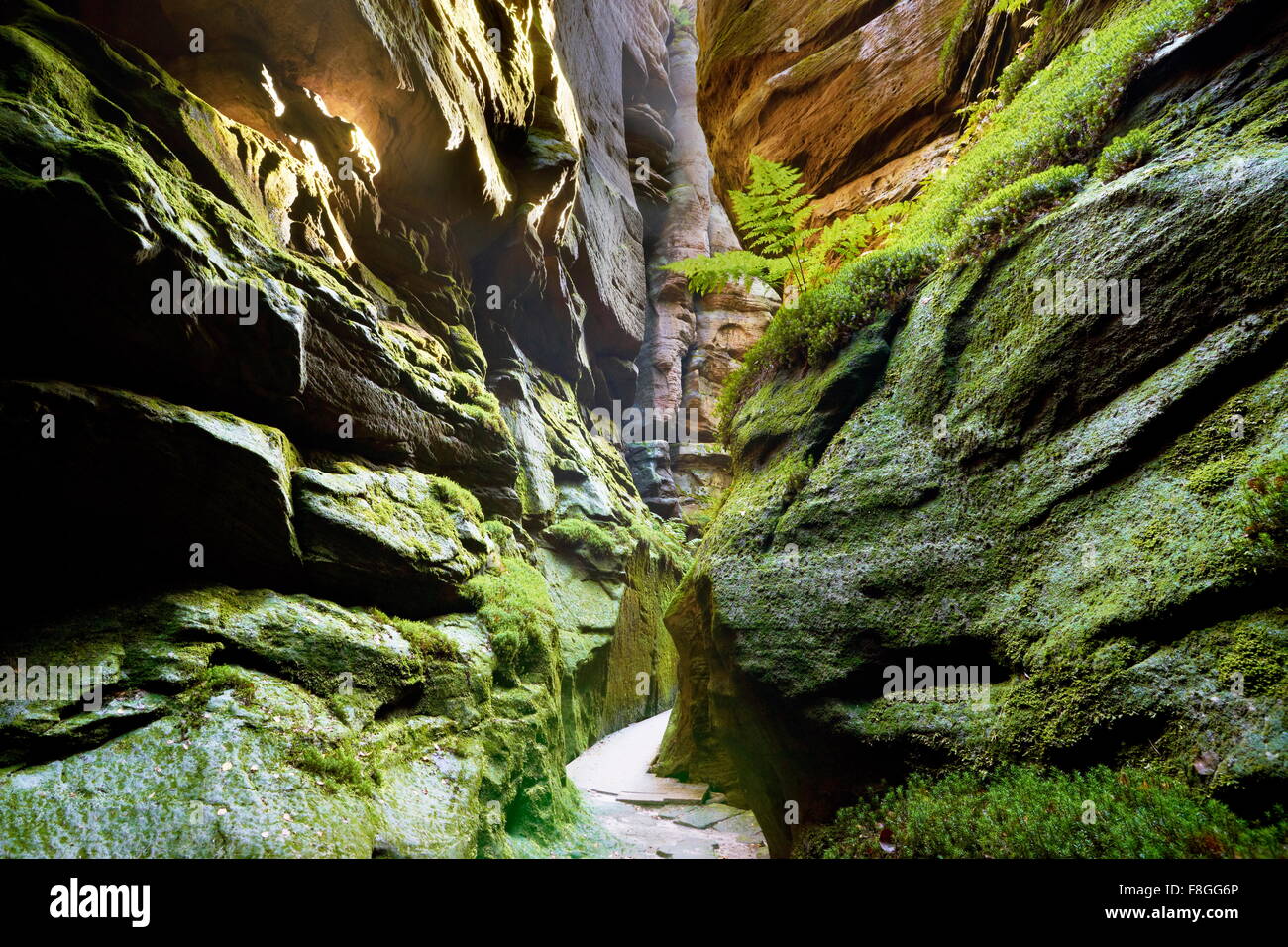 Sentiero escursionistico, Adrspach città di roccia, Teplicke rocce, Repubblica Ceca Foto Stock