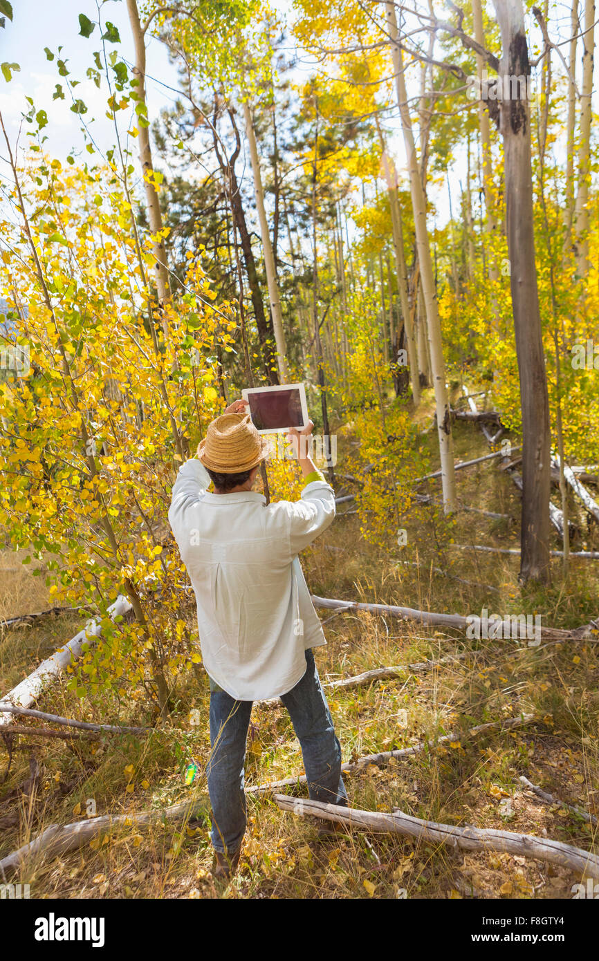 Uomo di fotografare con tavoletta digitale nella foresta di autunno Foto Stock