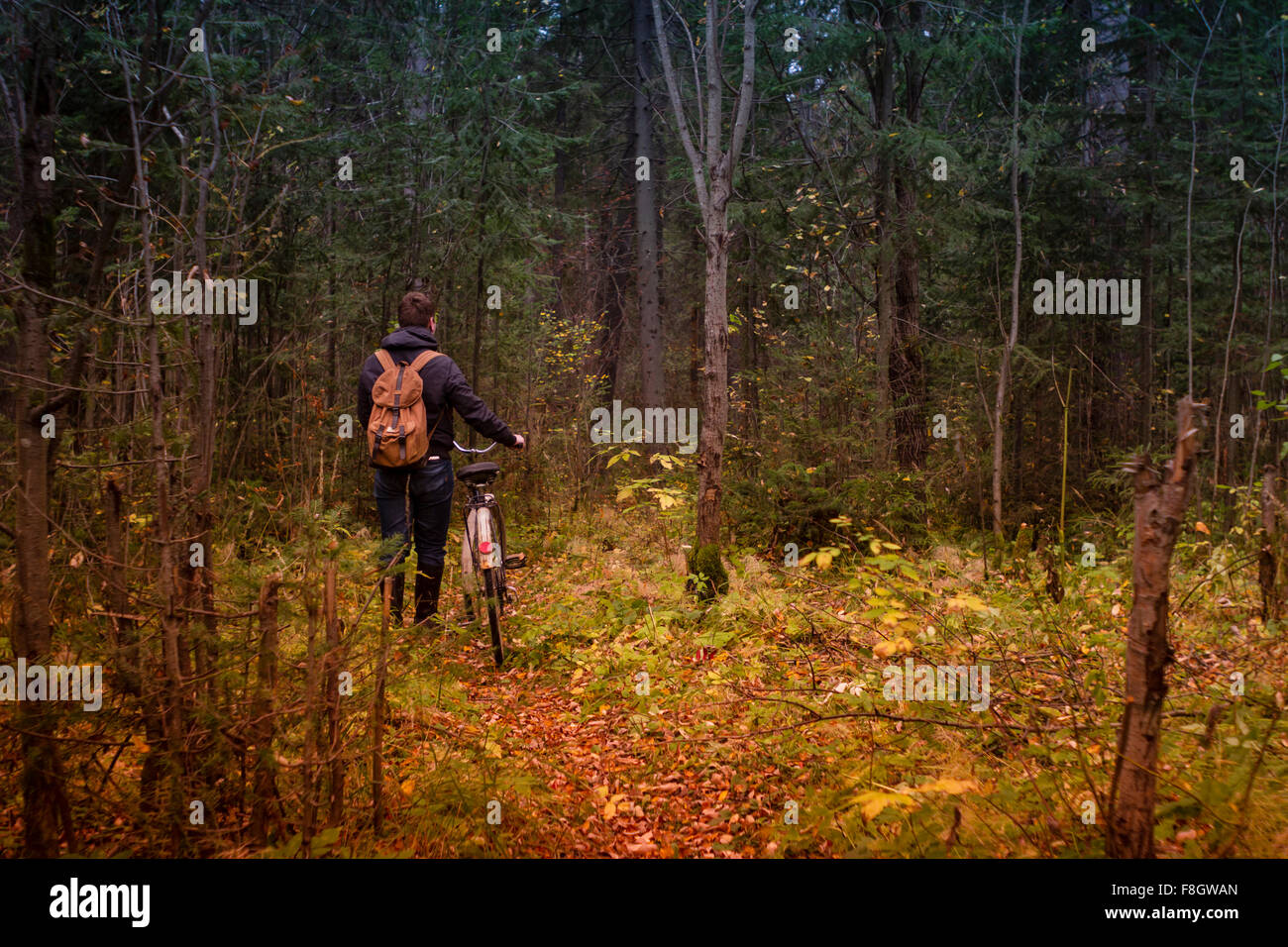 Uomo caucasico spingendo in bicicletta sulla strada forestale Foto Stock