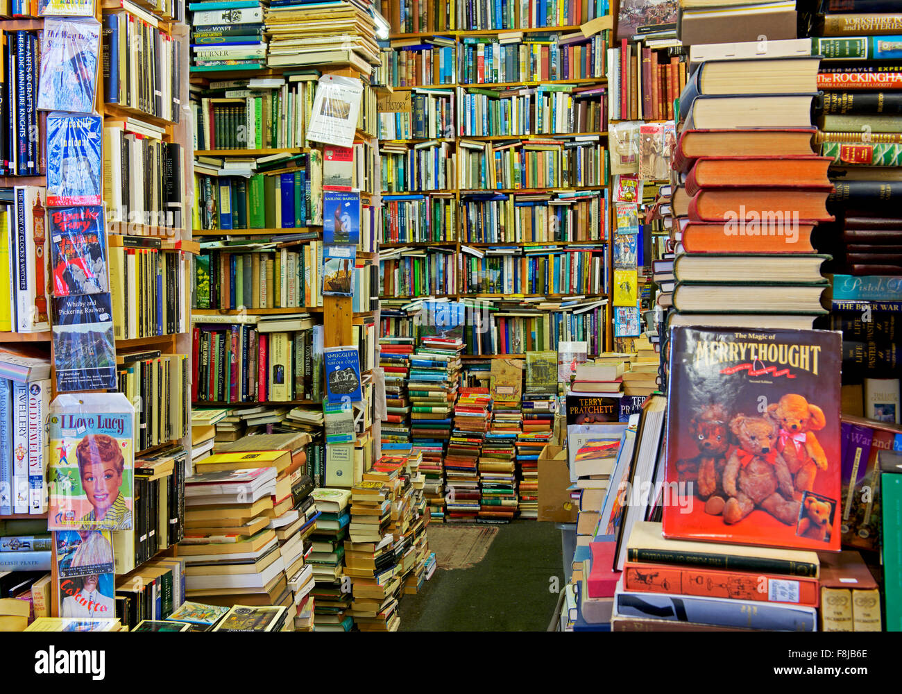 Interno di Camilla's Bookshop, Grove Road, Eastbourne, East Sussex, England Regno Unito Foto Stock