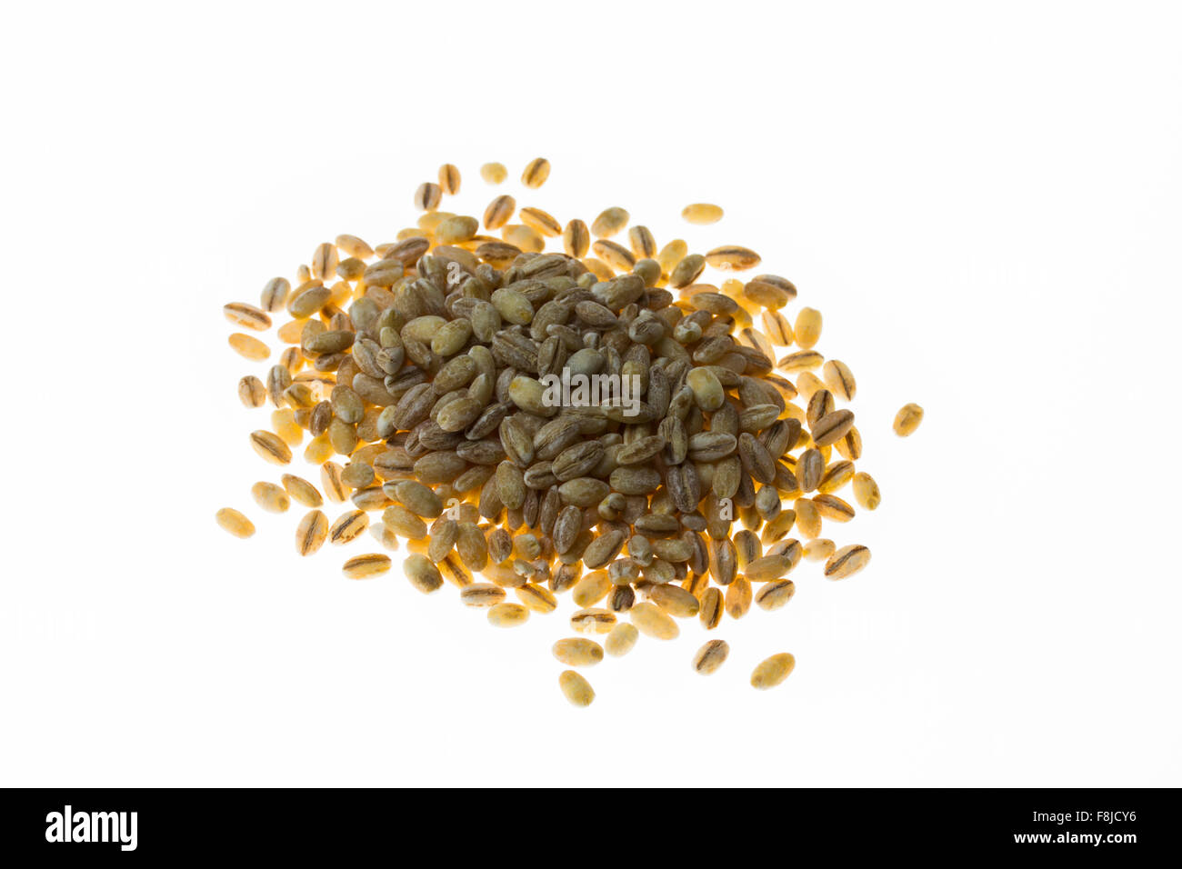 Orzo perlato Foto Stock