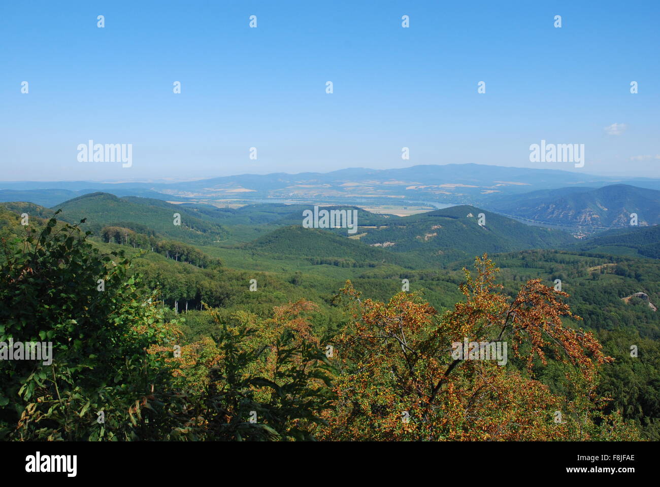 Natura e paesaggio Foto Stock