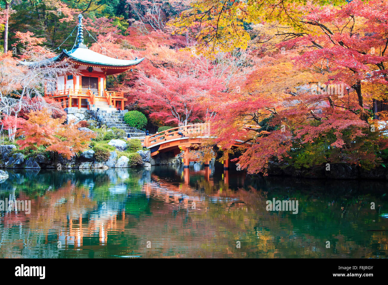 Kyoto, Giappone - 24 Novembre 2013: la stagione autunnale,il lasciare il cambiamento di colore rosso nel tempio del Giappone Foto Stock