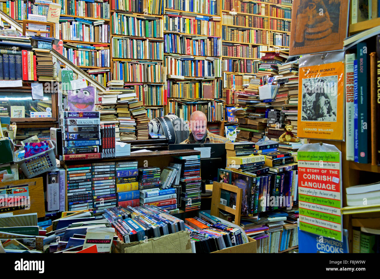 Interno di Camilla's Bookshop, Grove Road, Eastbourne, East Sussex, England Regno Unito Foto Stock