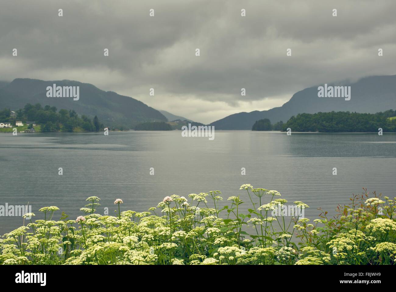 Paesaggio con fjord e montagne distanti, Etne, Norvegia Foto Stock