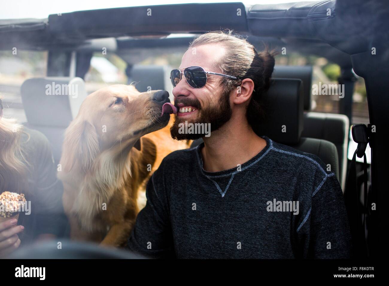 Cane leccare giovani mans faccia barbuta in jeep Foto Stock