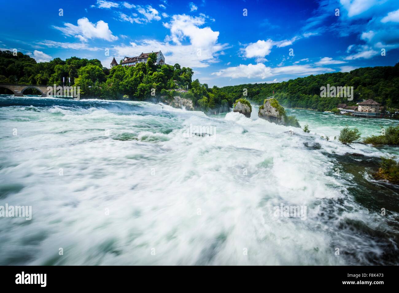 Acqua Bianca a cascata Rheinfall, Svizzera Foto Stock