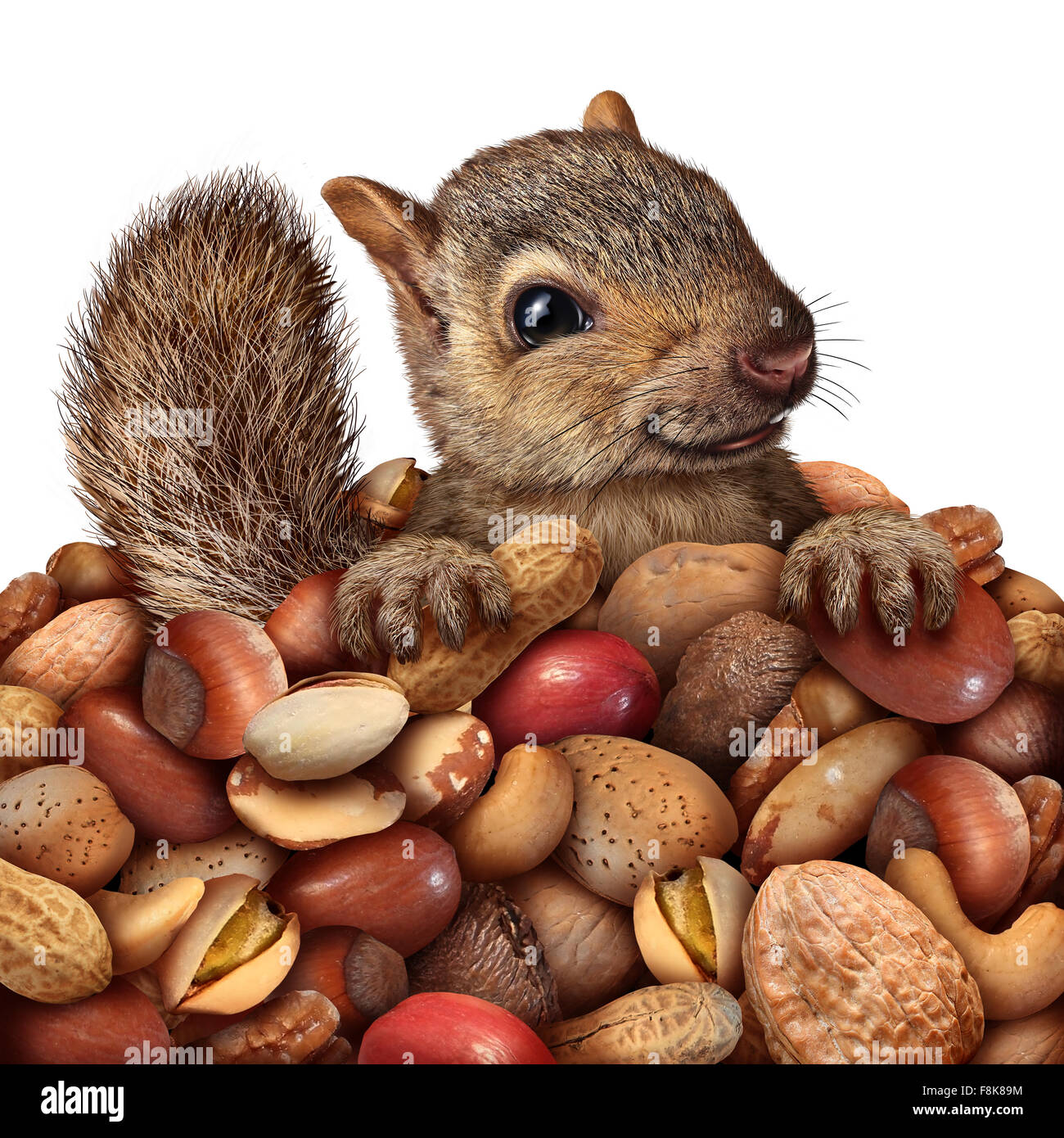 Prosperità e risparmi il concetto di business come uno scoiattolo holding di un gruppo di arachidi e noci assortite come simpatico roditore peloso che rappresentano gli investimenti di risparmio e di ricchezza o di un sano naturale simbolo alimentare promozione della salute snack. Foto Stock