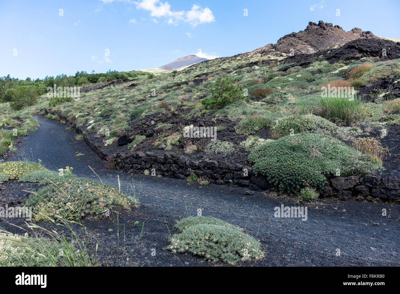 Percorso sul Monte Etna, schiena dell'asino andando a Valle del Bove Foto Stock
