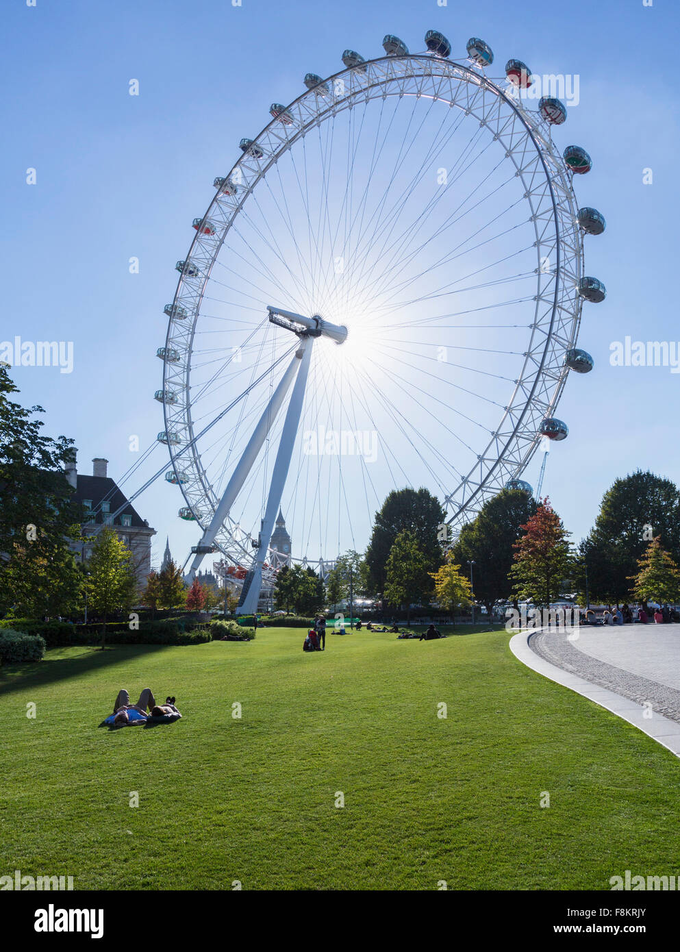 London Eye, Londra, Inghilterra, Regno Unito dalla Jubilee Gardens Foto Stock