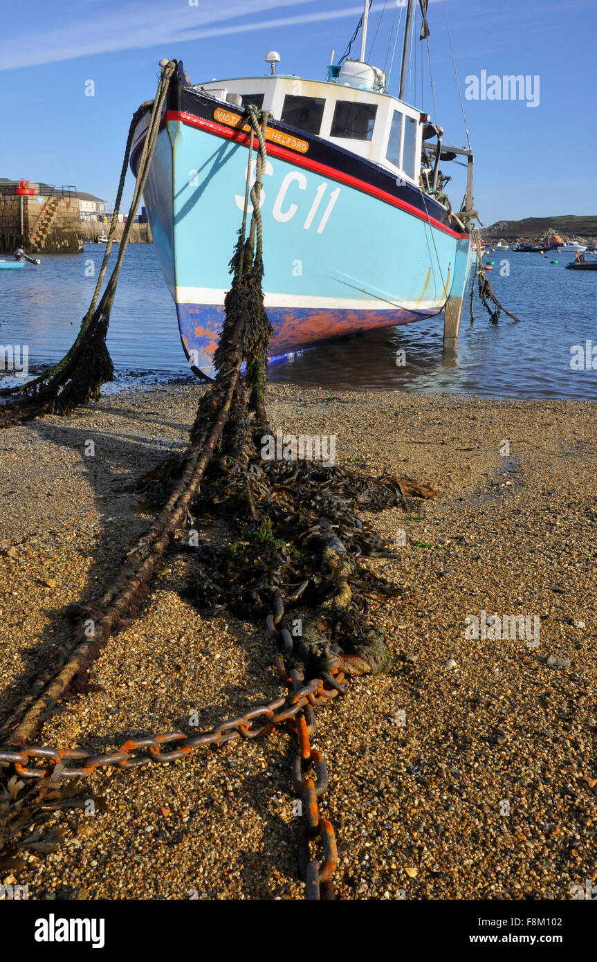La pesca in barca in porto con alghe marine coperte linee di ormeggio a St Marys, isole Scilly, Cornwall, Regno Unito Foto Stock