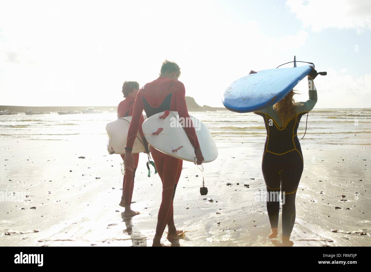 Gruppo di surfers voce verso mare, portando le tavole da surf, vista posteriore Foto Stock