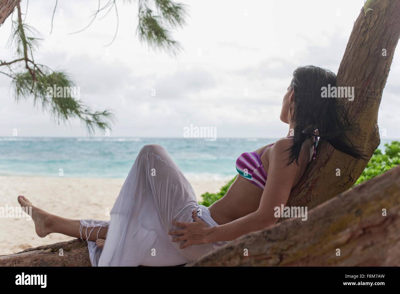 Donna reclinata in spiaggia tree guardando fuori in mare, Barbados, Caraibi Foto Stock