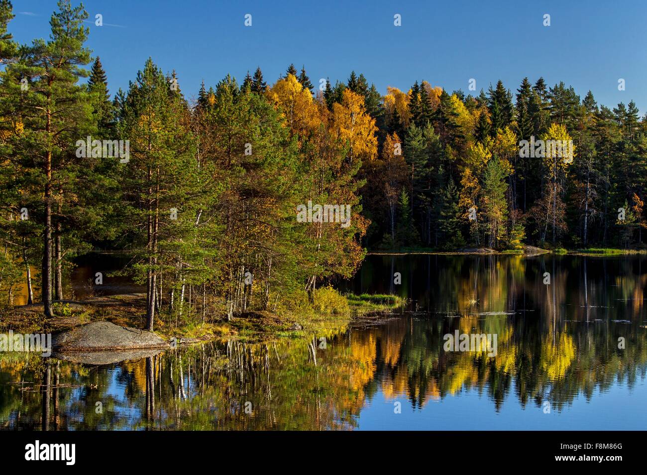 Alberi di pino sull isola e cielo blu riflettente nel lago, Drobak, Norvegia Foto Stock