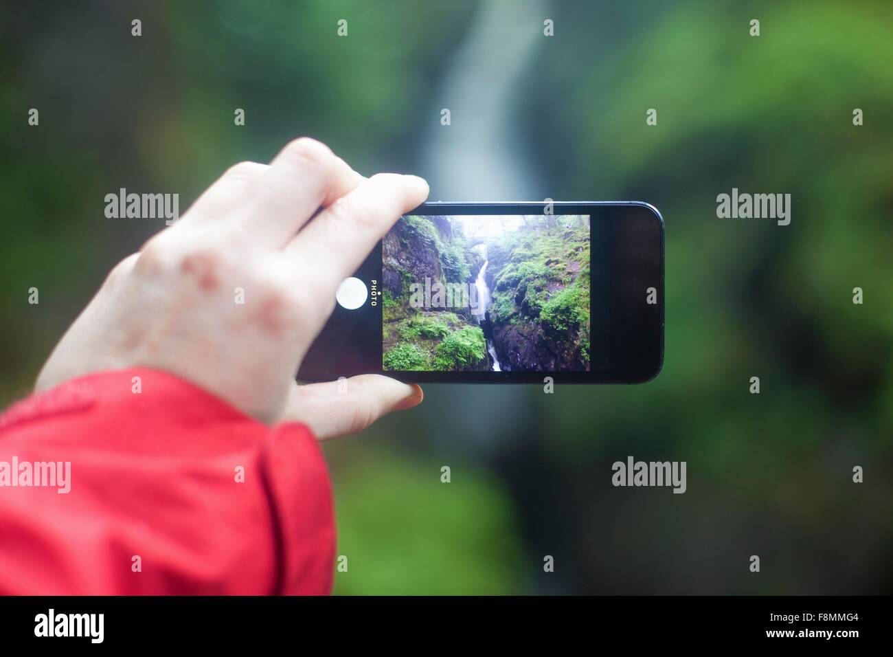 Womans mano azienda smartphone, fotografando Aira Force cascata, Penrith, Cumbria, Regno Unito Foto Stock