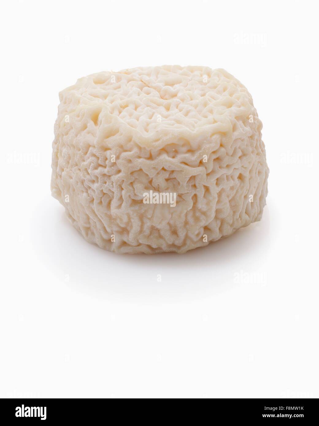 Formaggio di capra Foto Stock