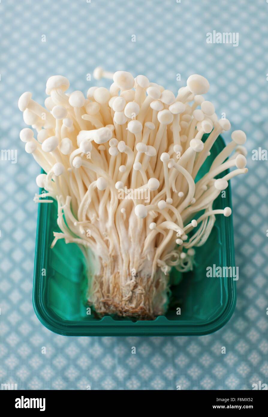 Enoki funghi in un contenitore in plastica Foto Stock