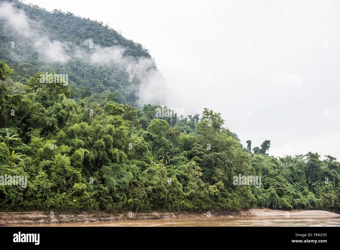 Foreste su Phou Si Foto Stock