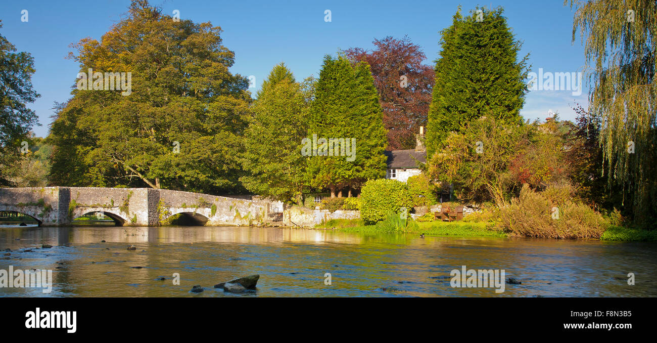 Pecore lavare ponte sopra il fiume Wye a Ashford sull'acqua Derbyshire, Inghilterra Foto Stock