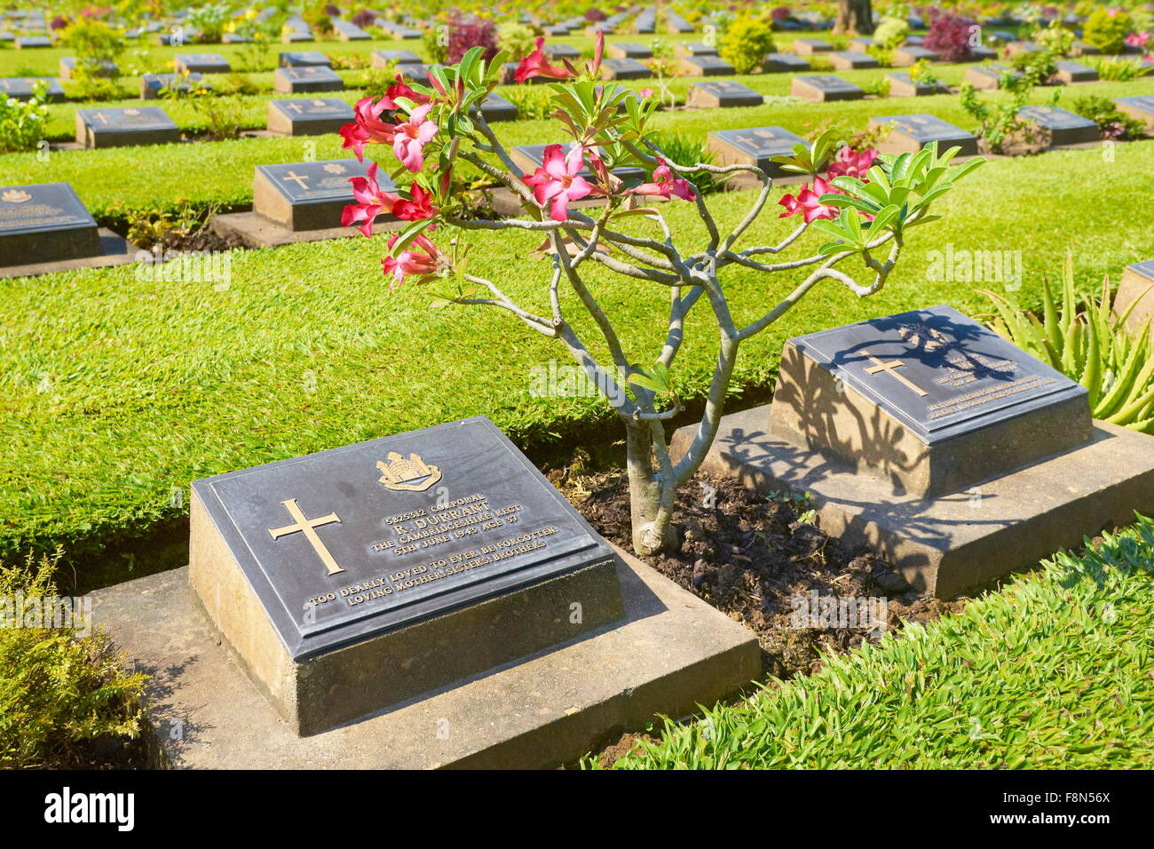 Thailandia - Kanchanaburi, cimitero per Allied ucciso la costruzione del ponte sul fiume Kwai Foto Stock