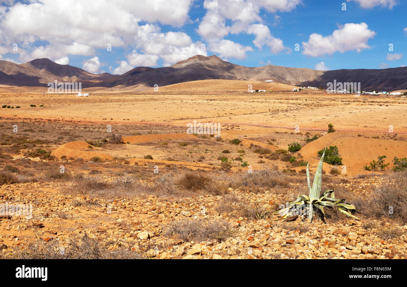 Isola di Fuerteventura, paesaggio nei pressi di Oliva village, Spagna Isole Canarie Foto Stock