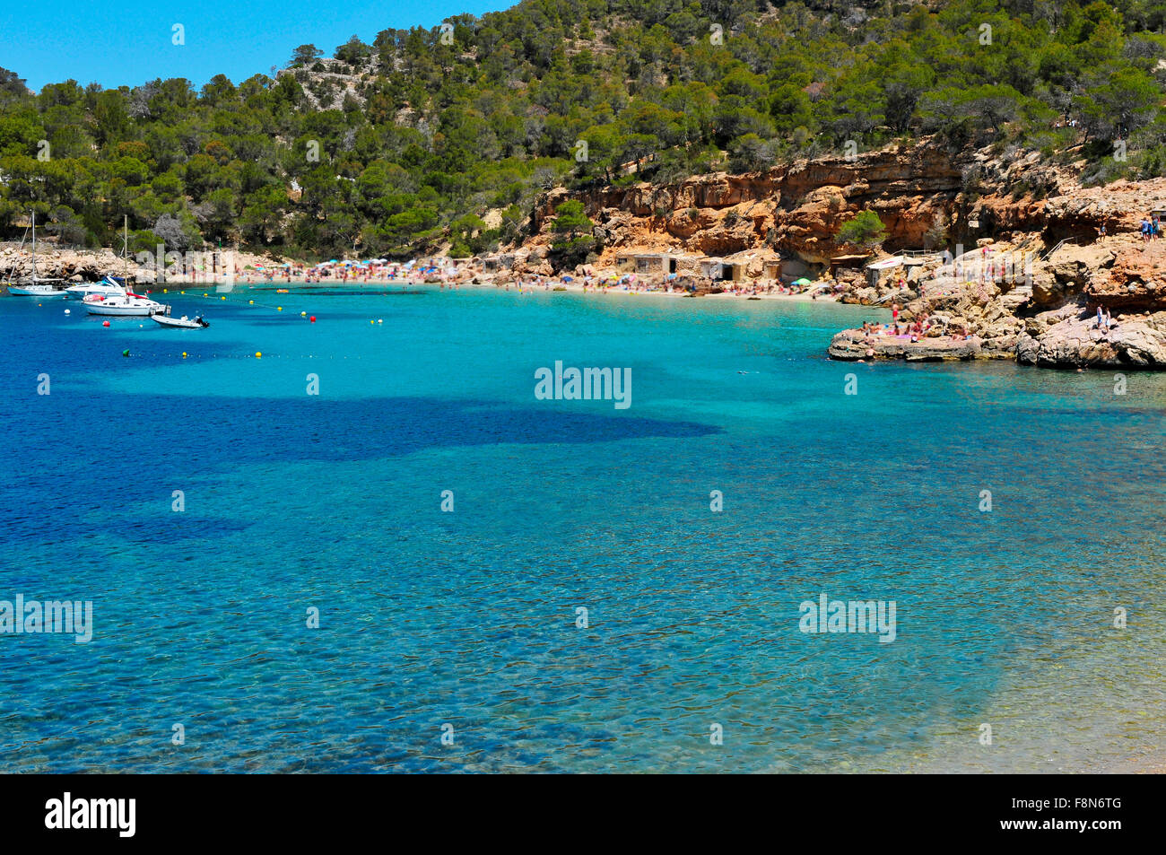 Una vista panoramica di Cala Salada beach in San Antonio, Ibiza, Spagna Foto Stock