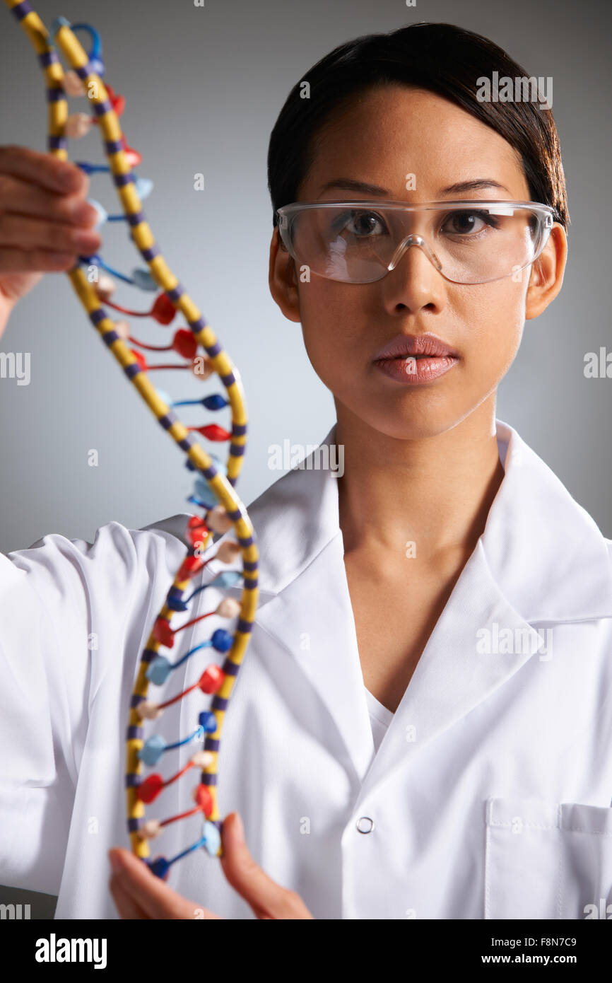 Donna scienziato studiando il modello molecolare in forma di elica Foto Stock