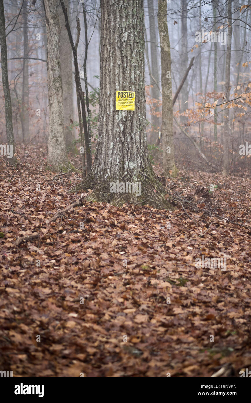Cartello giallo su albero nella foresta di avvertimento di proprietà privata confine nei boschi. Posted proprietà privata. Foto Stock
