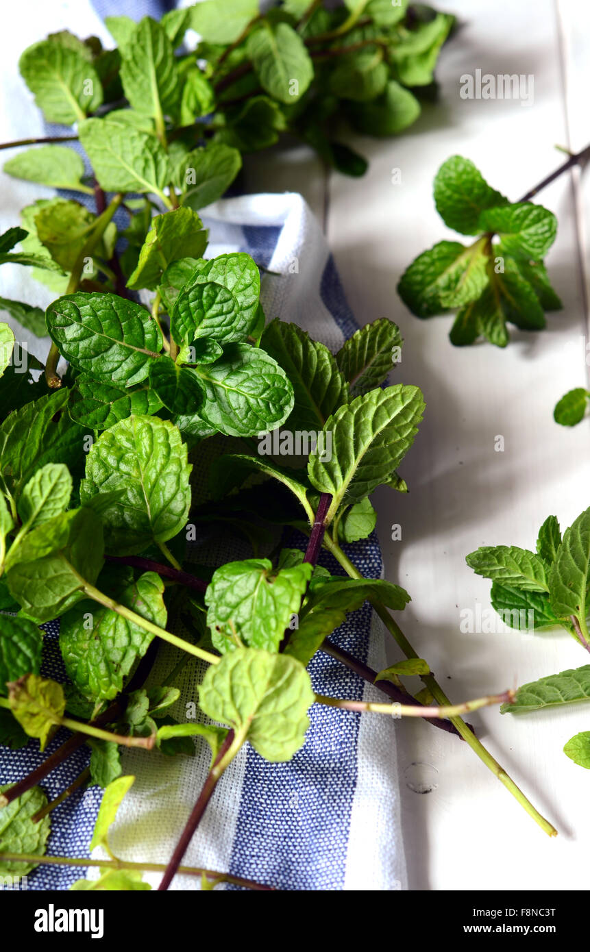 Appena raccolto homegrown con foglie di menta Foto Stock