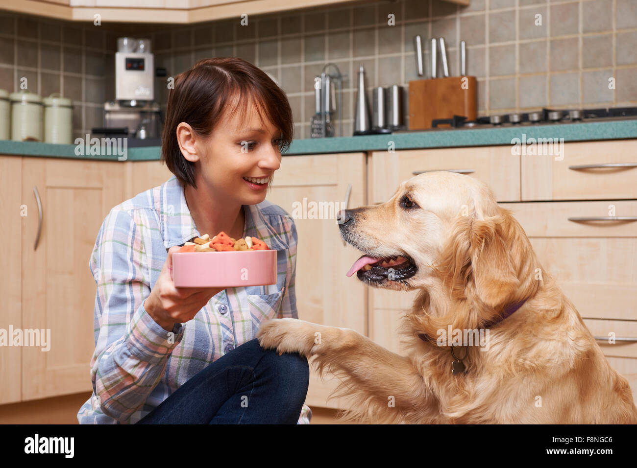 Proprietario dando il Golden Retriever pasto del cane biscotti nel recipiente Foto Stock