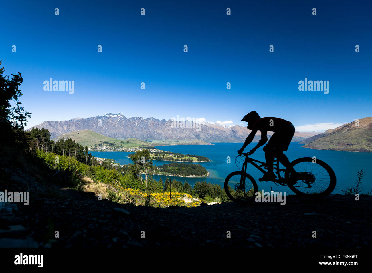 Silhouette di mountain bike rider a Queenstown, Nuova Zelanda Foto Stock