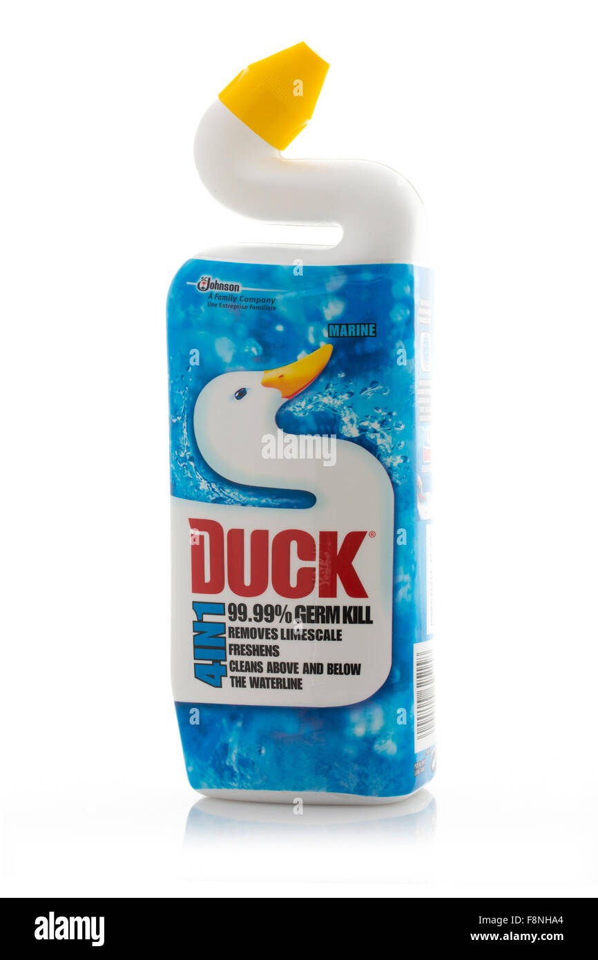 Toilet Duck detergente liquido per igiene casa su sfondo bianco Foto Stock