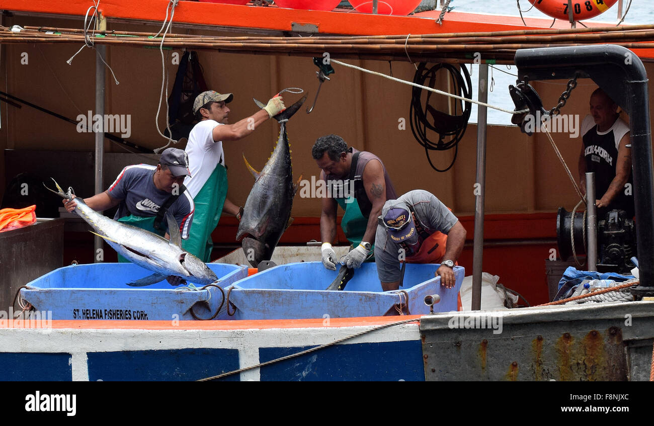 Pole e i pescatori di linea trasferendo le proprie catture - St Helena Island Foto Stock