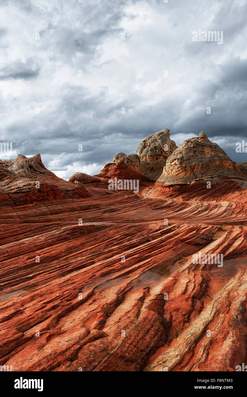 I temporali costruire oltre la formazione di arenaria noto come Stegosaurus Ridge in Arizona remote scogliere Vermiglio. Foto Stock