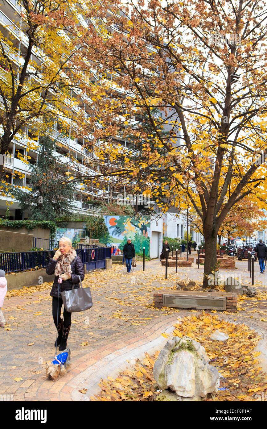 Le strade del quindicesimo arrondissement in autunno a Parigi, Francia. Foto Stock