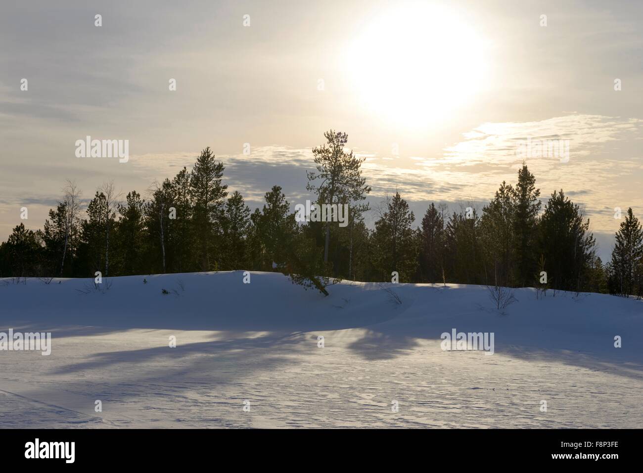 Scenic tramonto in una foresta di inverno Foto Stock