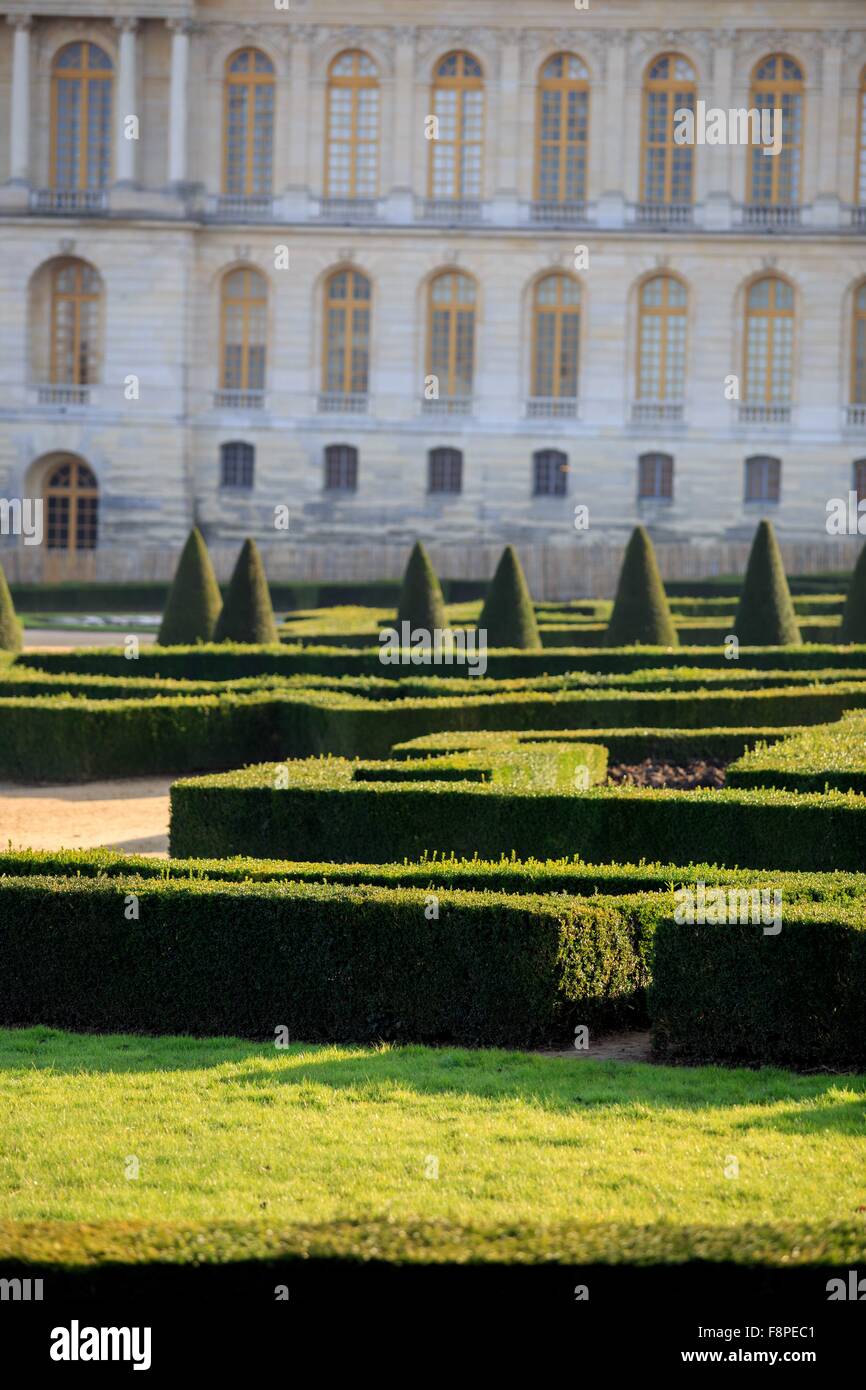 Curati giardini presso il Palazzo di Versailles, Parigi, Francia. Foto Stock