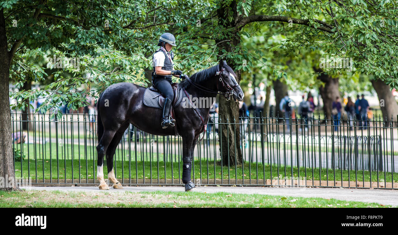 Cavallo di polizia impiegati alla polizia i sei manifestanti da nuovi Padri 4 Giustizia Foto Stock