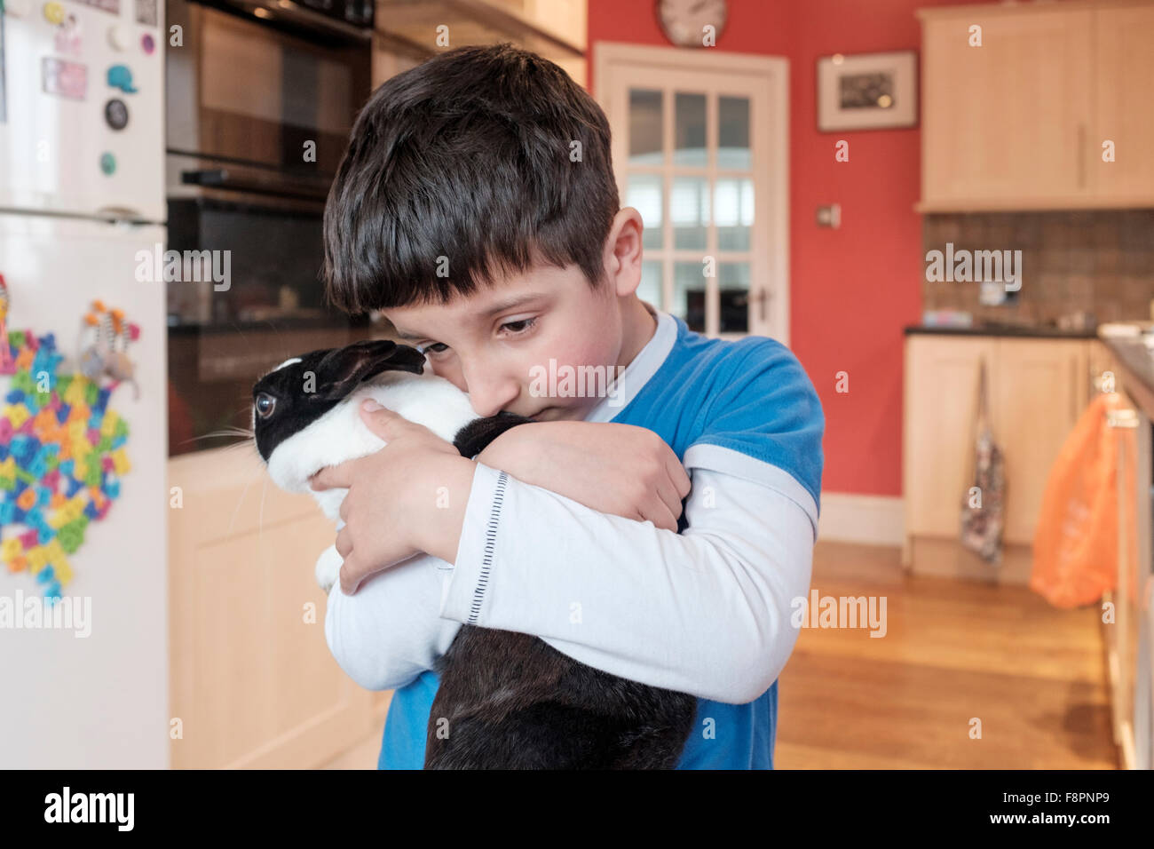 Il giovane ragazzo coccola il suo coniglio animale domestico, UK Foto Stock