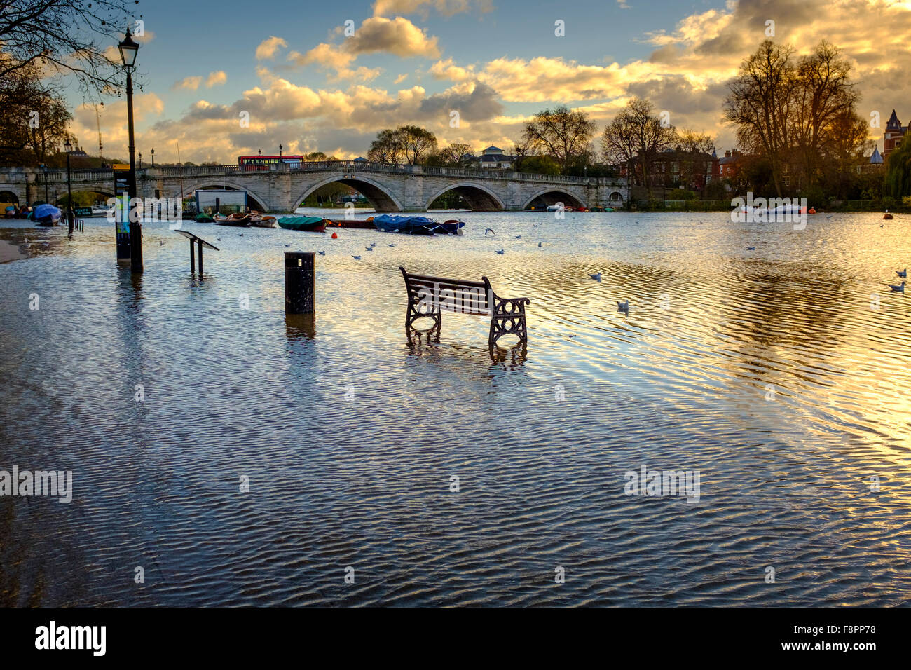 Alta Marea,Fiume Tamigi a Richmond Upon Thames, London, Regno Unito Foto Stock