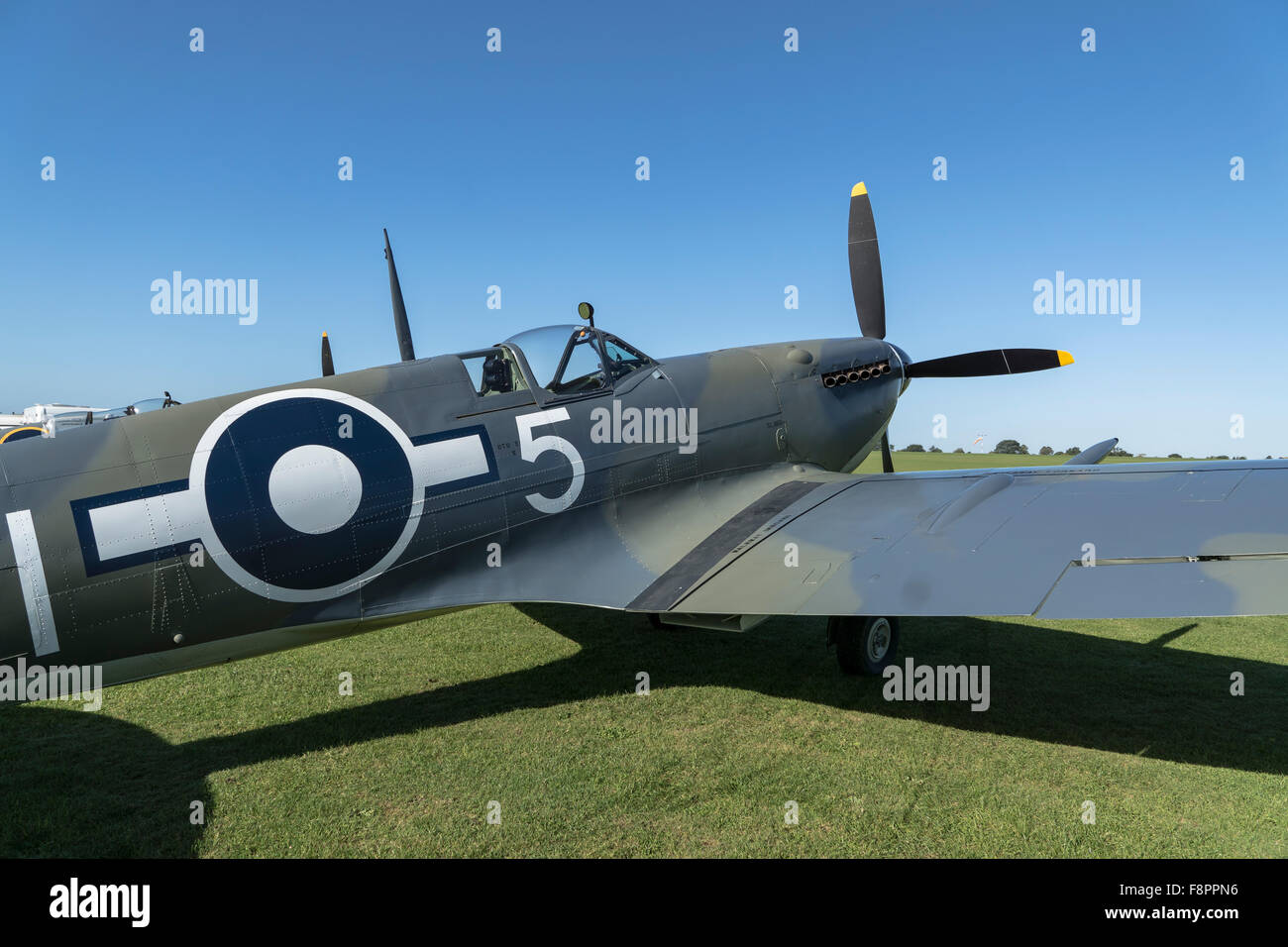 Il Supermarine Seafire LF III G-BUAR Foto Stock